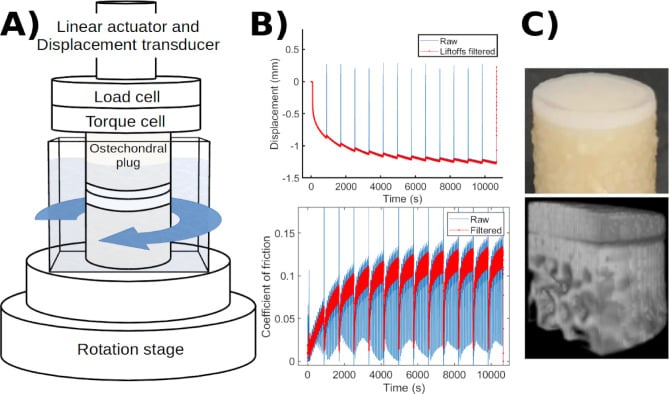 Cartilage compression and tribology apparatus with displacement and friction signals during repeated loading