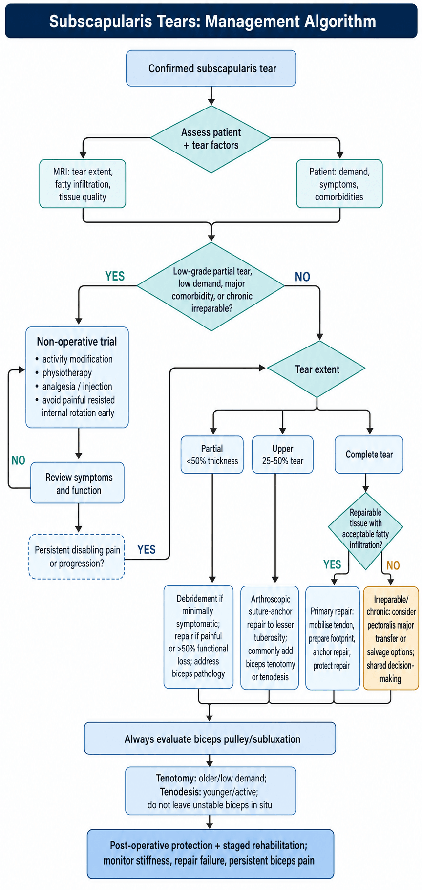 subscapularis tears management algorithm