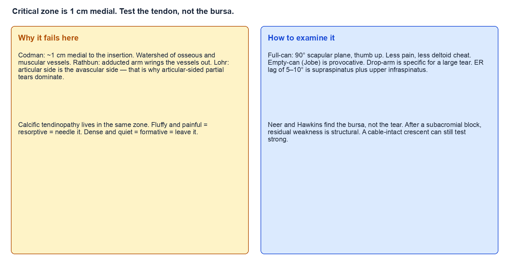 Two-panel map of the critical-zone watershed and how to examine the tendon rather than the bursa