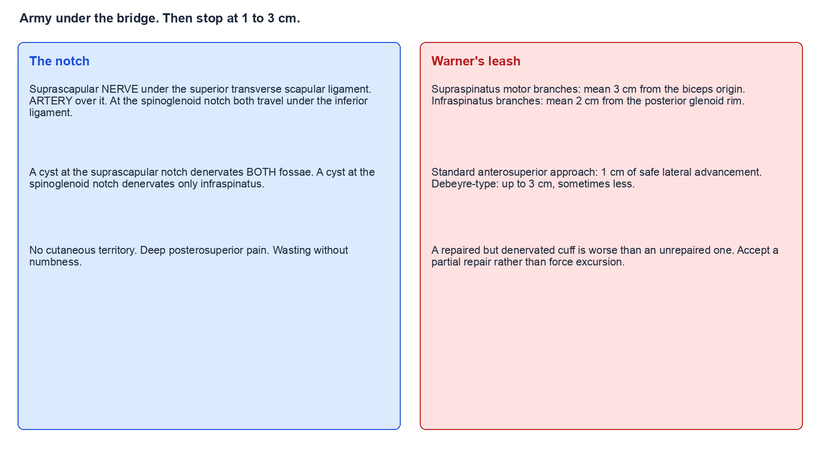 Two-panel map of the suprascapular notch relations and Warner mobilisation limits