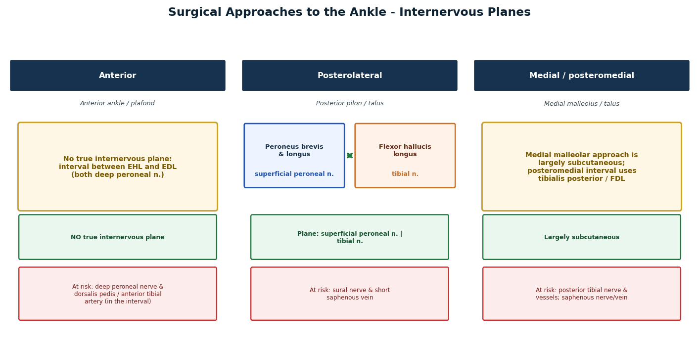 ankle surgical approaches internervous planes
