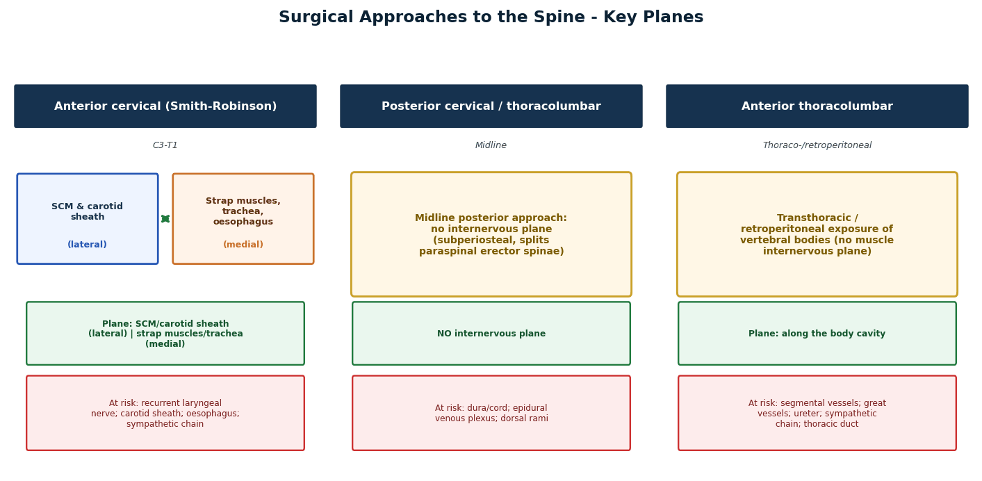 spine surgical approaches key planes