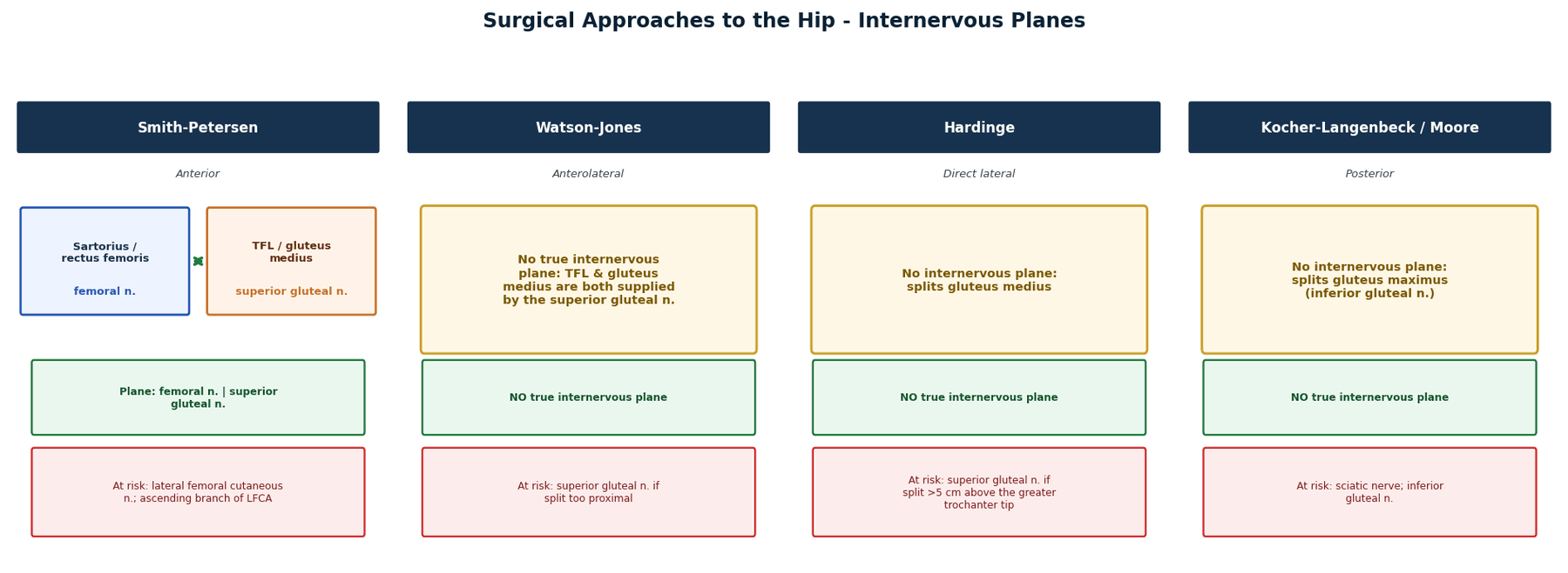 hip surgical approaches internervous planes