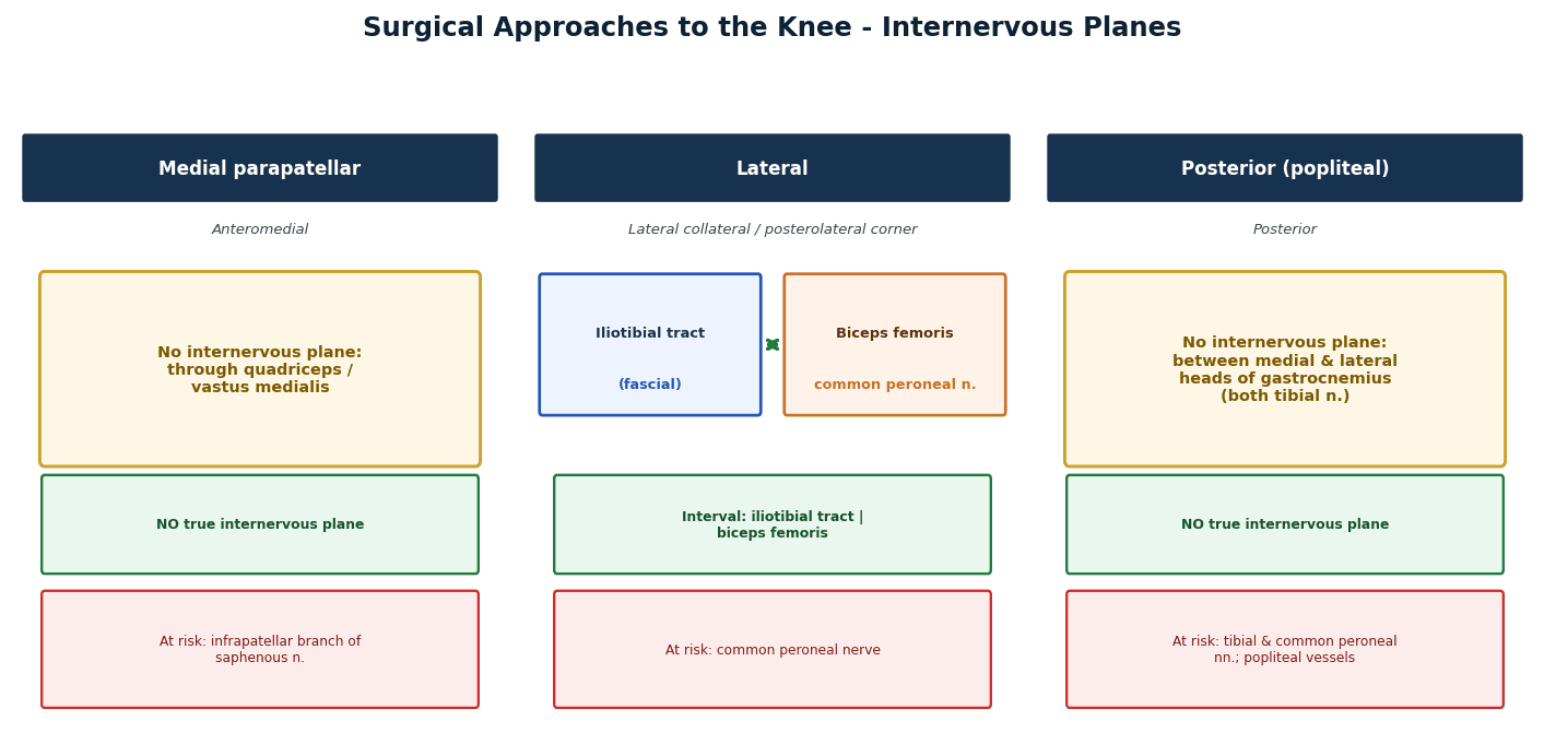 knee surgical approaches internervous planes