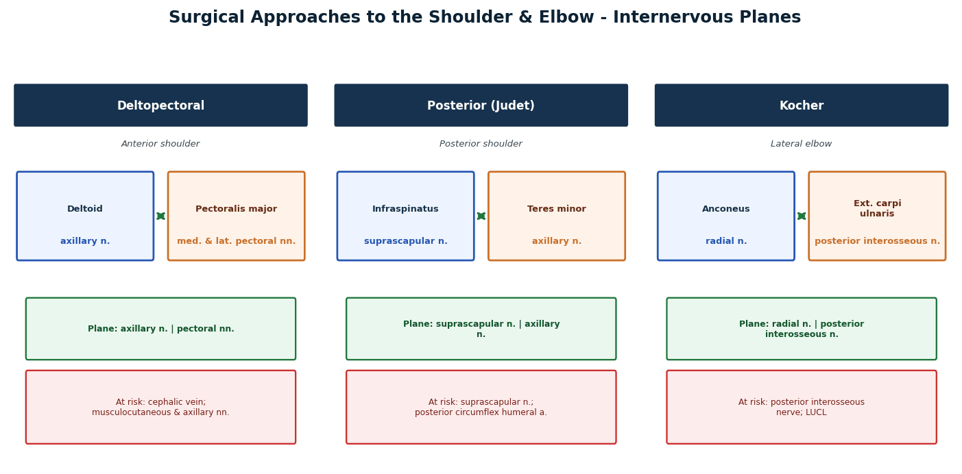 shoulder and elbow surgical approaches internervous planes