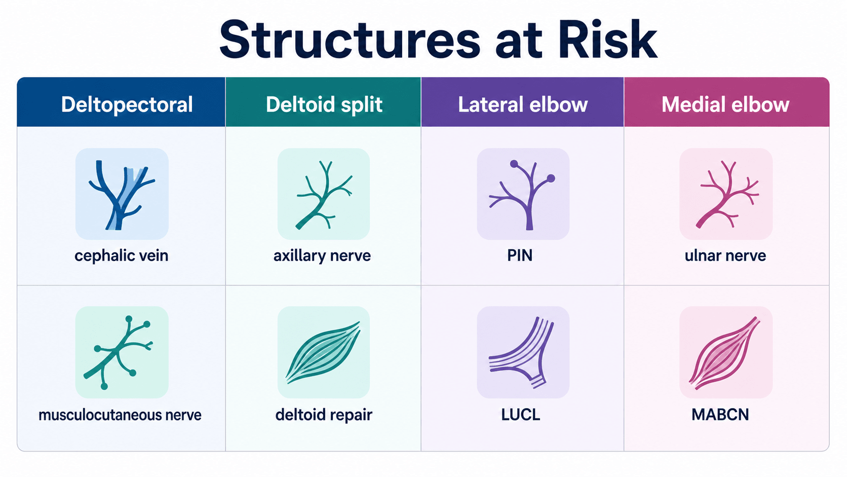 Table of structures at risk in deltopectoral, deltoid split, lateral elbow and medial elbow approaches