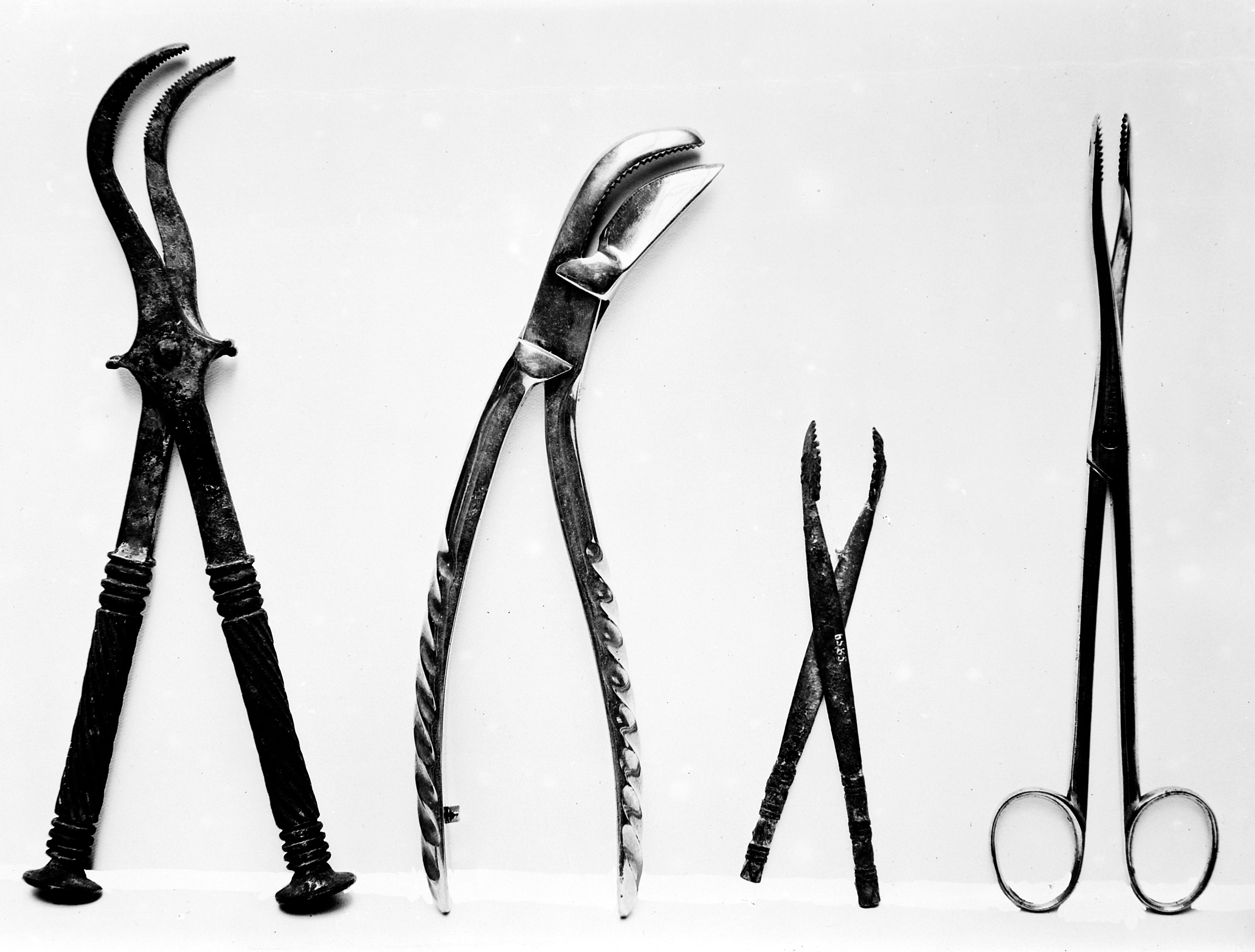 Historical comparison plate of heavy bone-cutting forceps and finer necrosis forceps.
