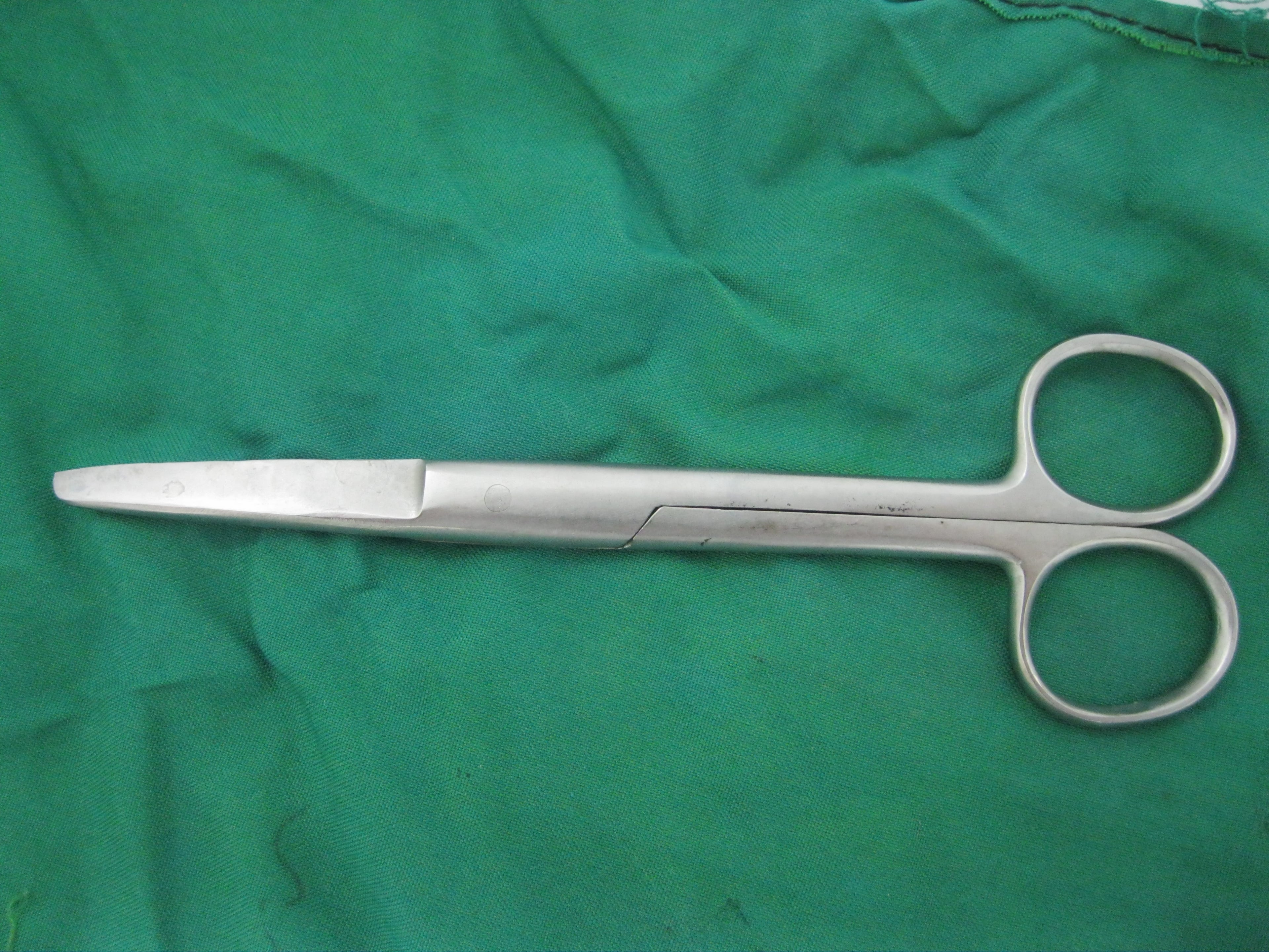Straight Mayo scissors with stout blades and ring handles.
