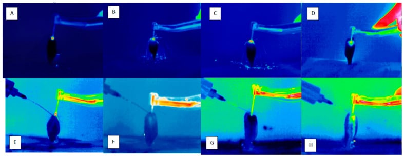 Infrared thermography comparing bone drilling temperature patterns with and without irrigation.