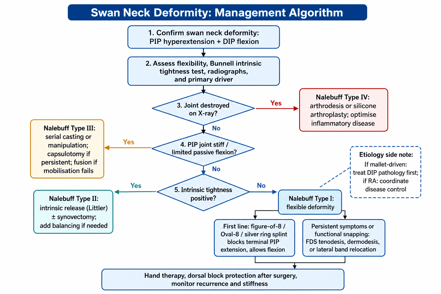 Swan neck deformity management algorithm by Nalebuff type