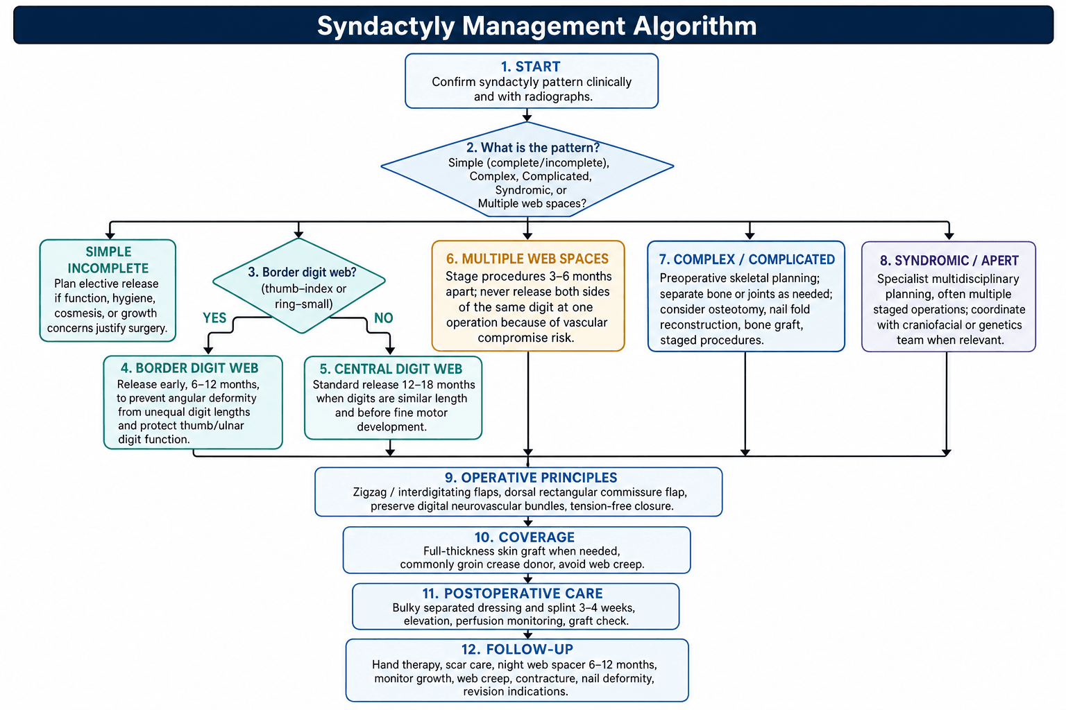 Management algorithm for Syndactyly