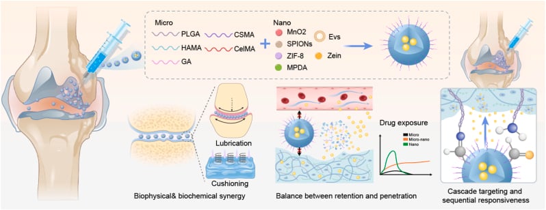 Conceptual framework of boundary and fluid-film lubrication mechanisms in synovial joints