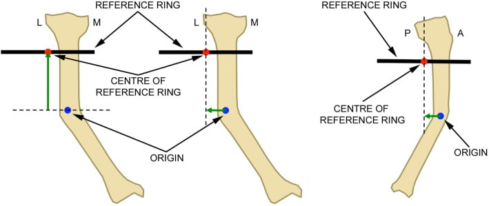 Diagrams of the axial, mediolateral and anteroposterior Taylor Spatial Frame mounting offsets, each measured from the origin on the bone to the centre of the reference ring.