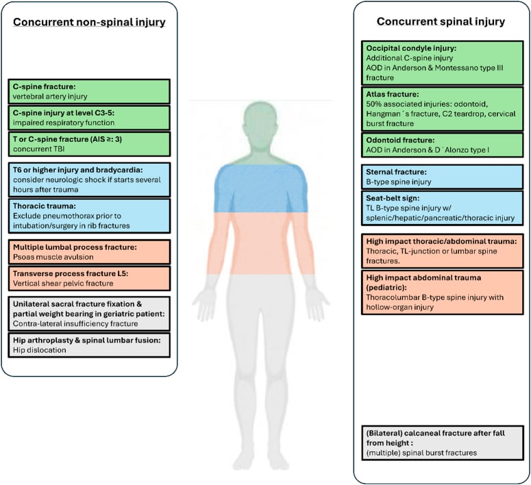 Diagram mapping concurrent spinal and non-spinal injuries associated with acute spinal trauma by body region
