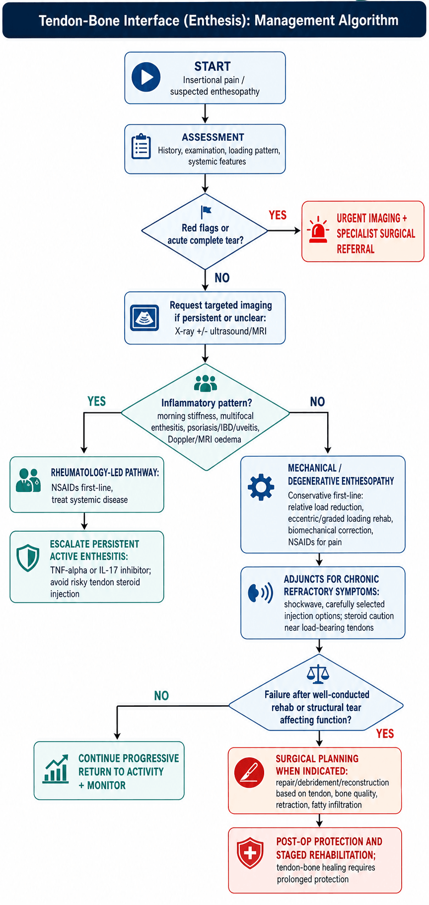 Management algorithm for Tendon Bone Interface Enthesis