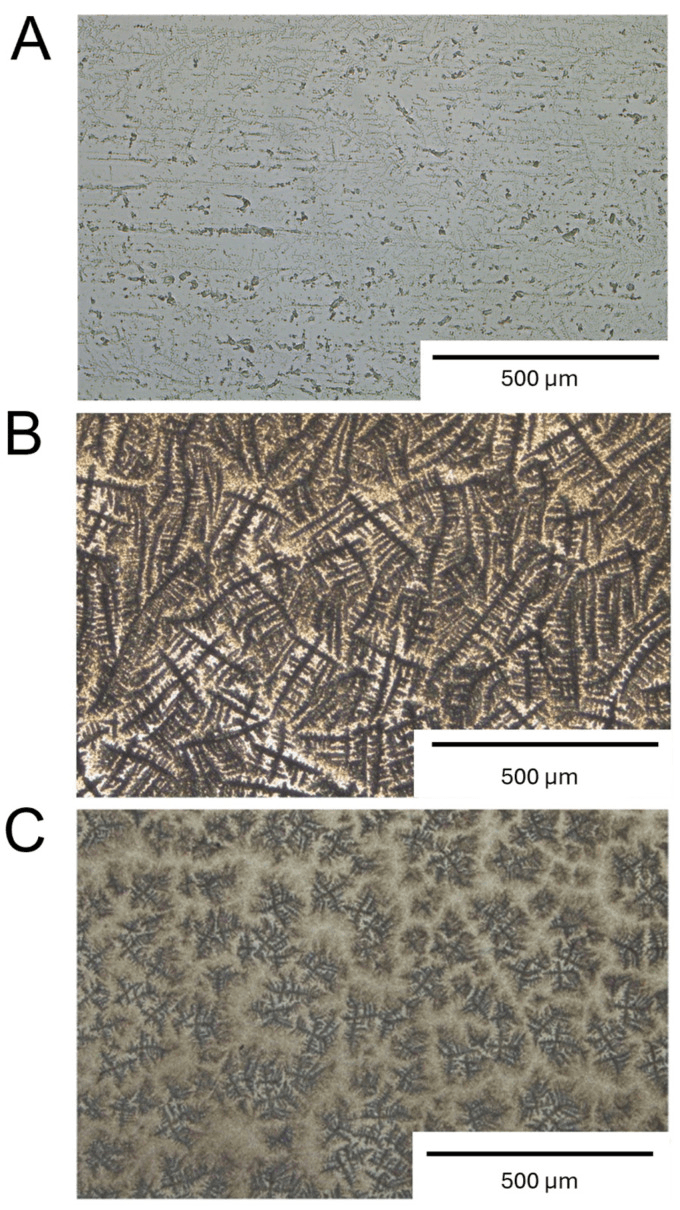 Microscopy showing distinct Staphylococcus epidermidis and Staphylococcus aureus biofilm microstructures