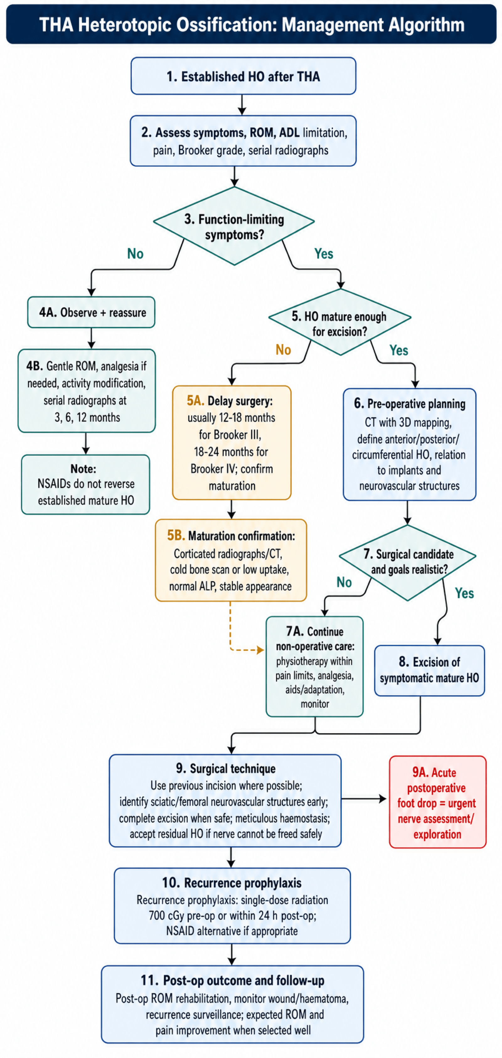 tha heterotopic ossification management algorithm
