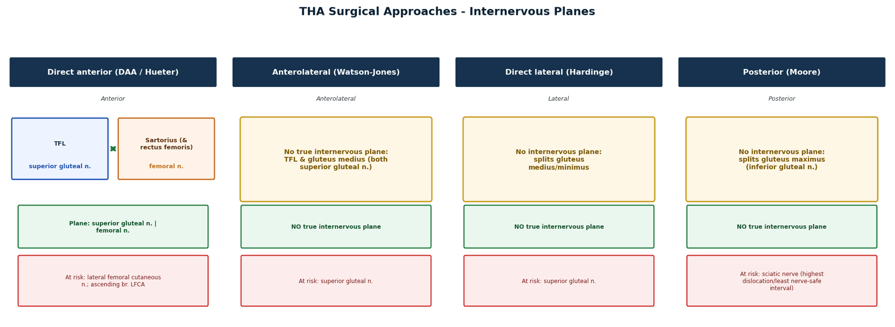 THA surgical approaches internervous planes