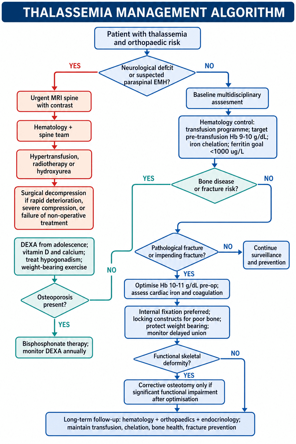 Thalassaemia orthopaedic management algorithm with three decision branches