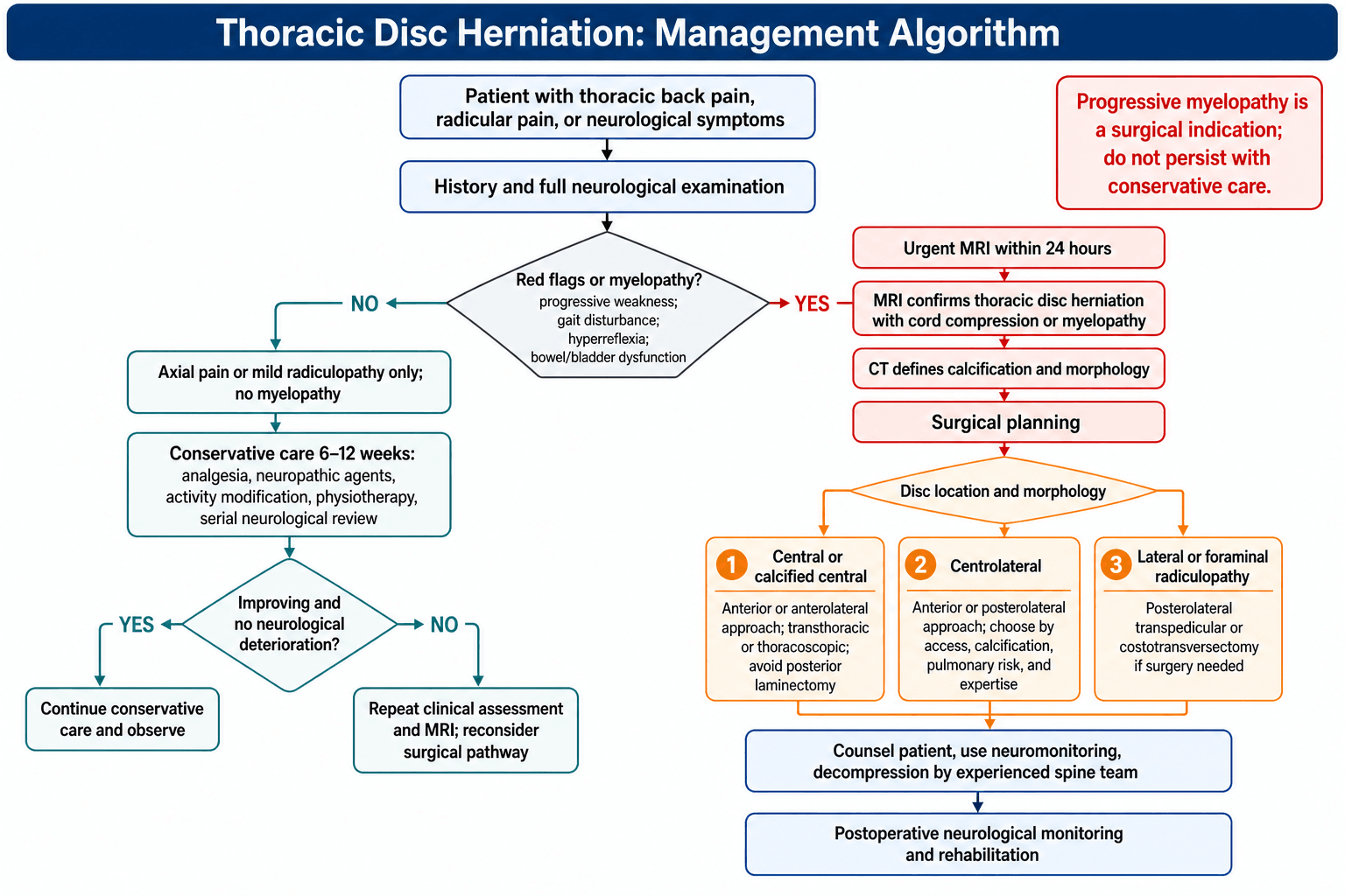 Flowchart: management algorithm for thoracic disc herniation.