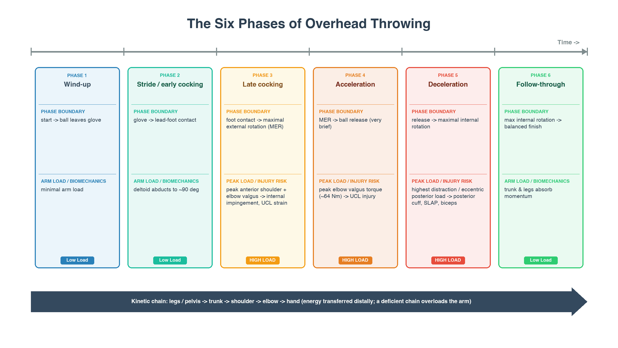 Timeline of the six phases of overhead throwing with each phase's boundary event, peak load and associated injury, and the kinetic chain from legs to hand