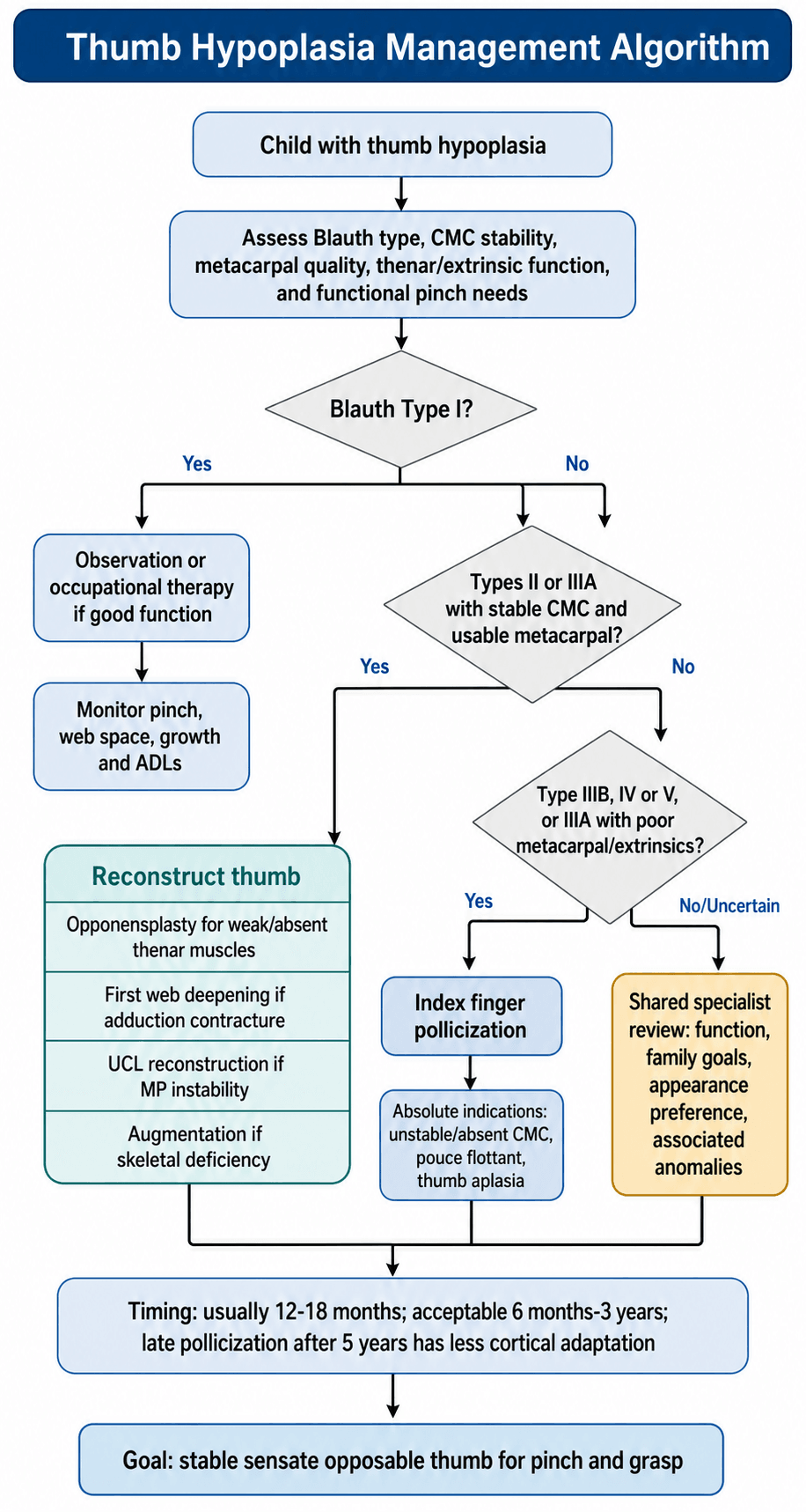 Flowchart: management algorithm for thumb hypoplasia based on the Blauth type and CMC joint stability.