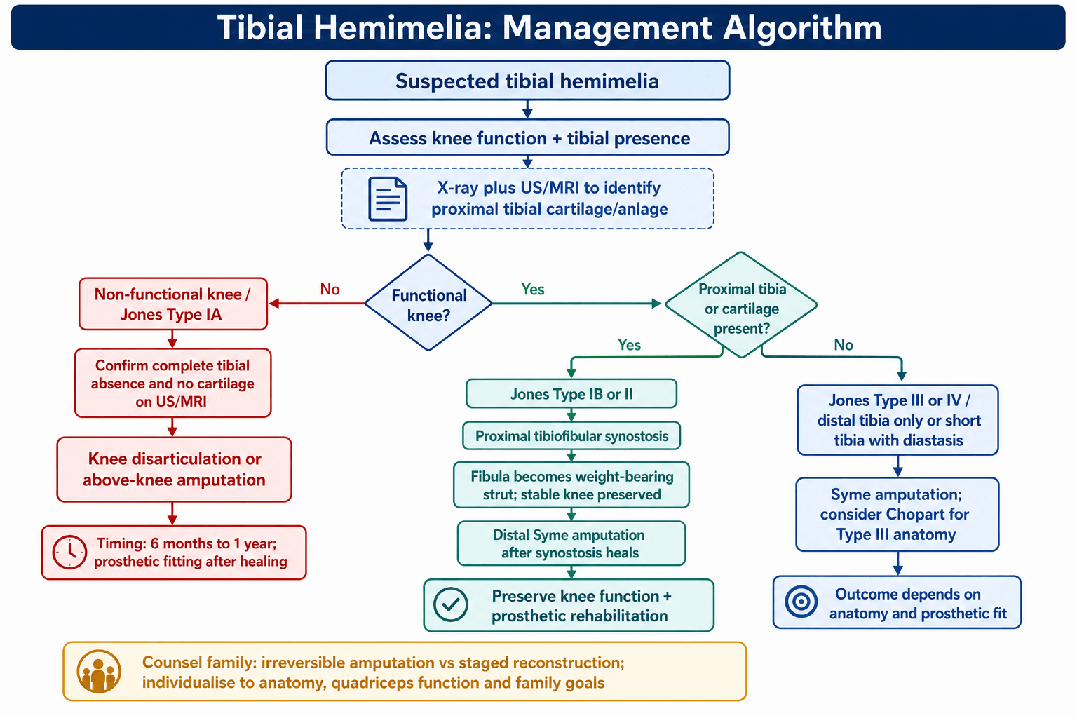 tibial hemimelia management algorithm