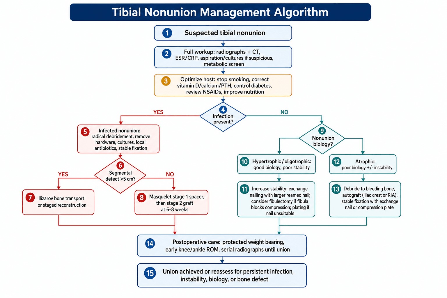 Flowchart of the tibial nonunion management pathway from suspected nonunion through workup and host optimisation to the infected versus aseptic branches.
