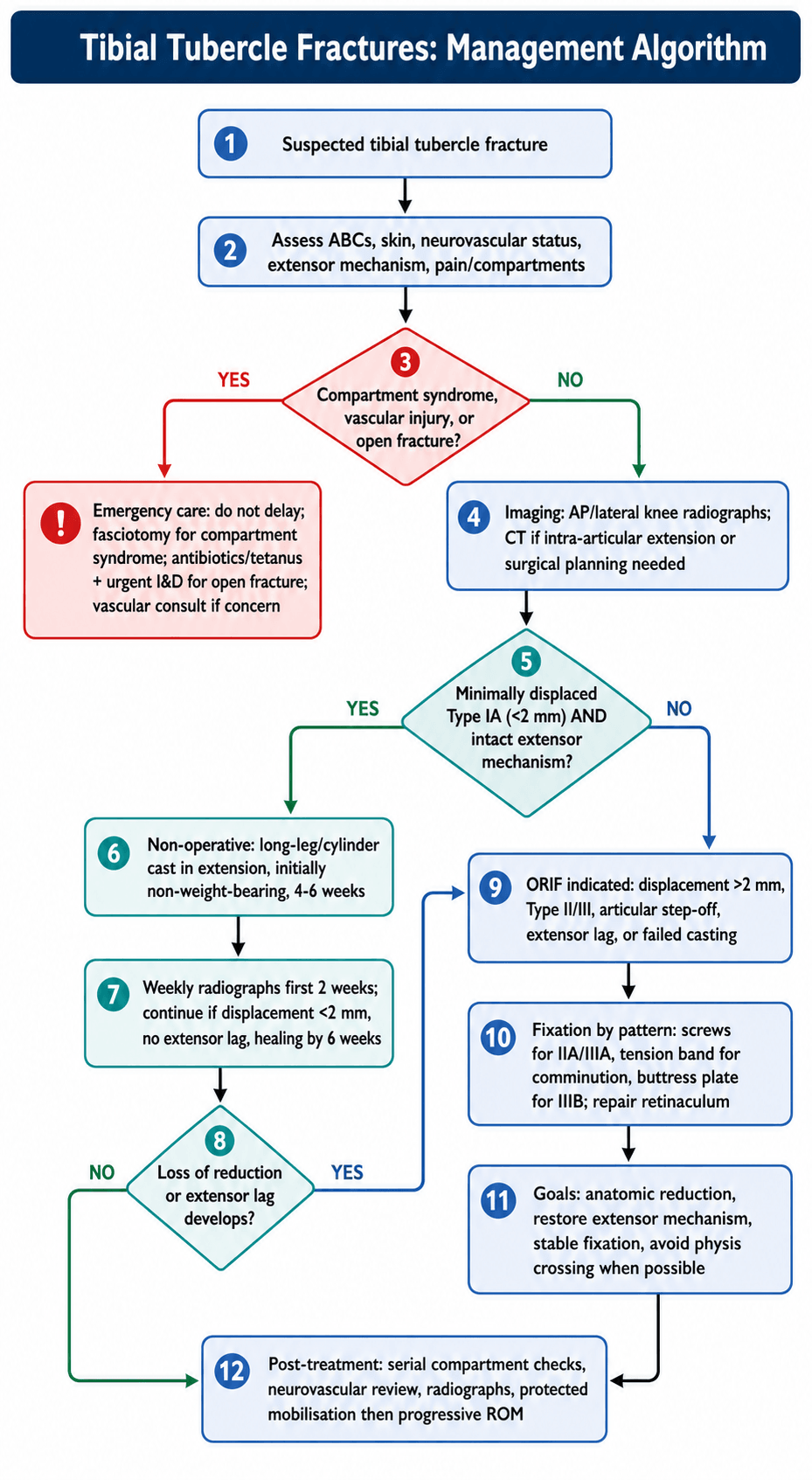 Management algorithm for Tibial Tubercle Fractures