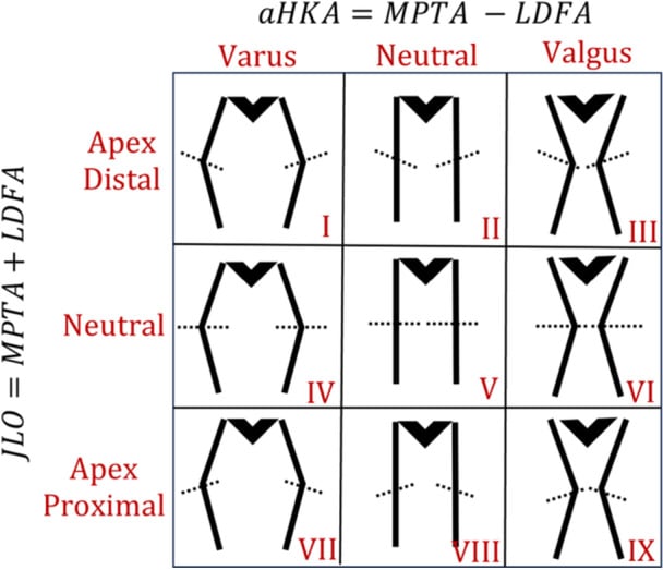 Nine-box CPAK classification arranged by arithmetic HKA and joint-line obliquity