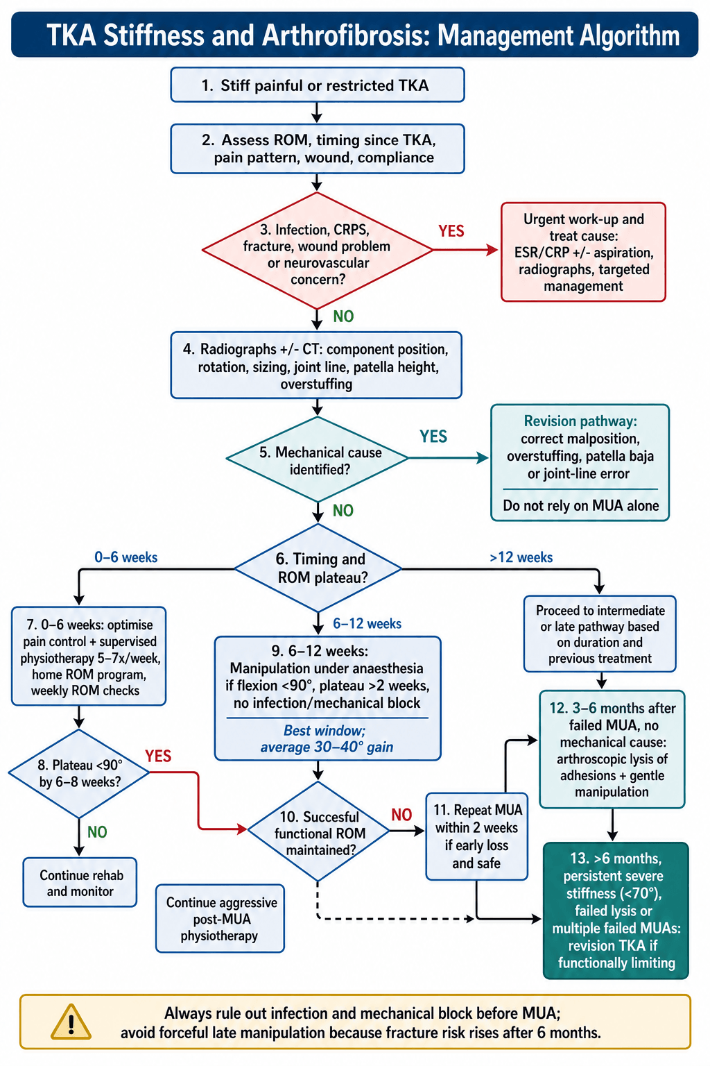 Management algorithm for the stiff total knee arthroplasty and arthrofibrosis