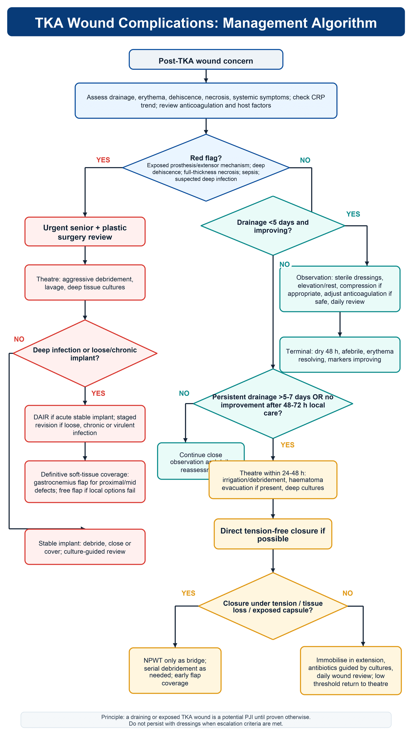 Flowchart for the post-TKA wound: assess for red flags; red flags trigger urgent debridement, deep cultures and DAIR or staged revision; non-red-flag drainage is observed and escalated to theatre if it persists beyond 5 to 7 days, with NPWT used only as a bridge to flap coverage.