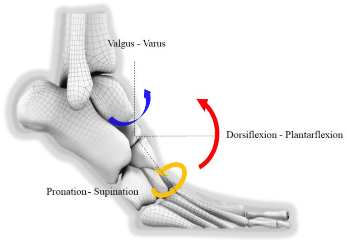 Three-dimensional axes of first-ray hypermobility