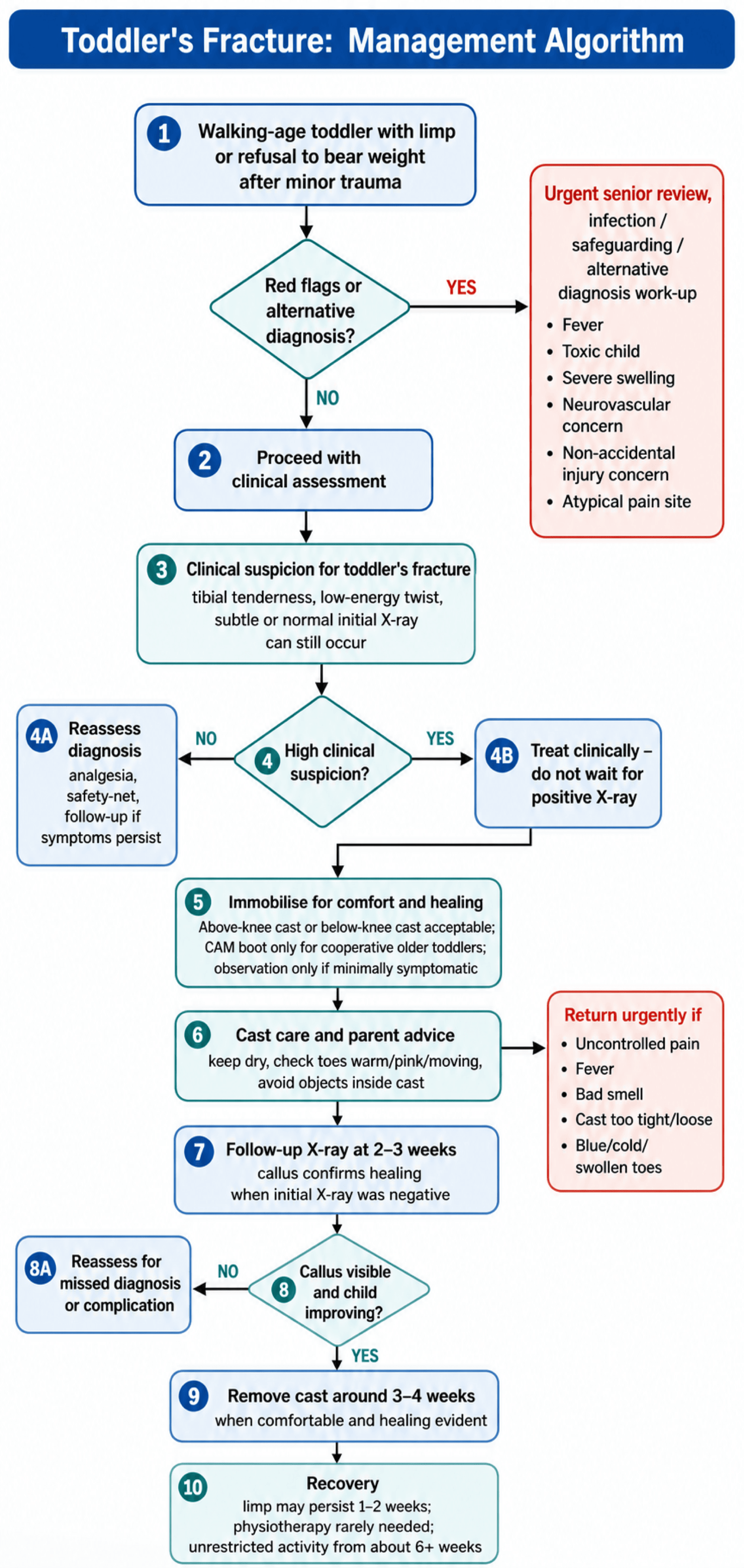 Clinical diagnosis and treatment algorithm for toddler's fracture
