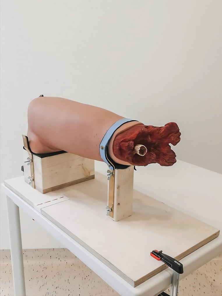 Tourniquet training simulator mounted for standardised application practice