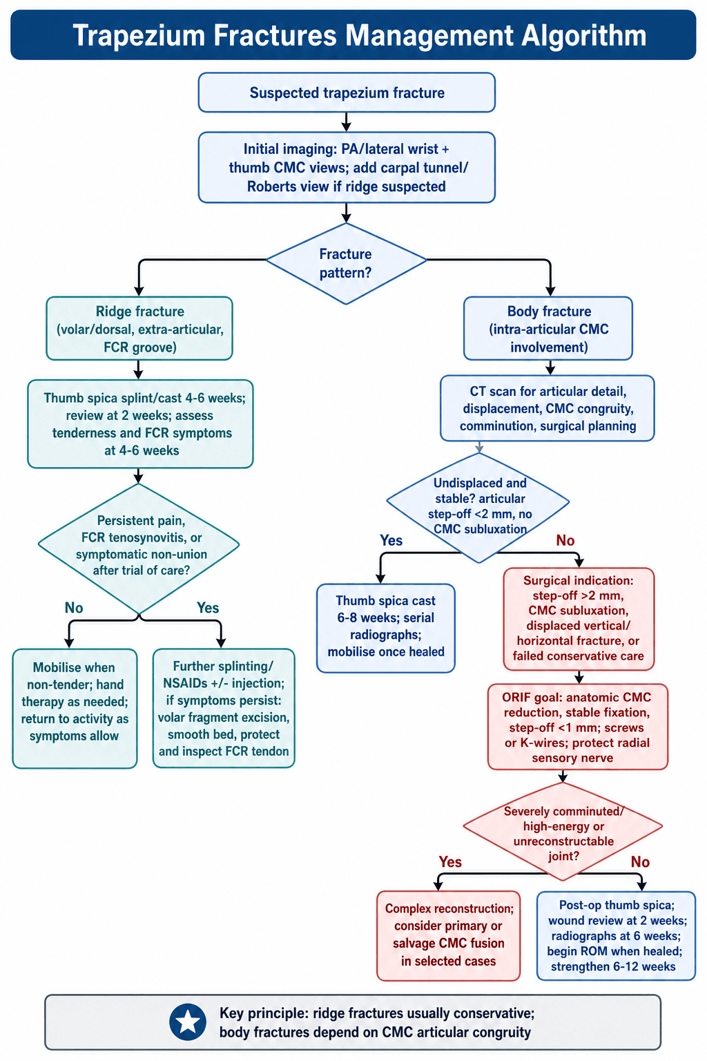 Flowchart for management of trapezium fractures branching by ridge versus body fracture pattern