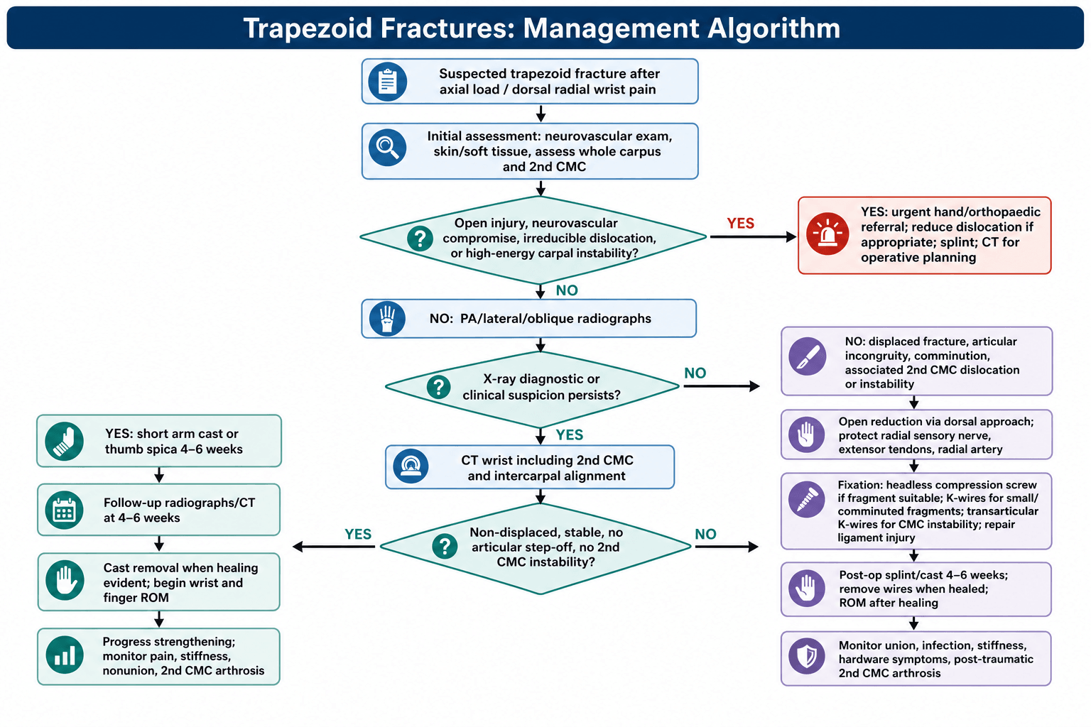 trapezoid fractures management algorithm