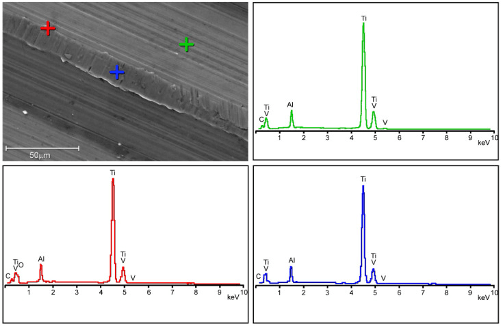 SEM and elemental analysis across taper damage ridges