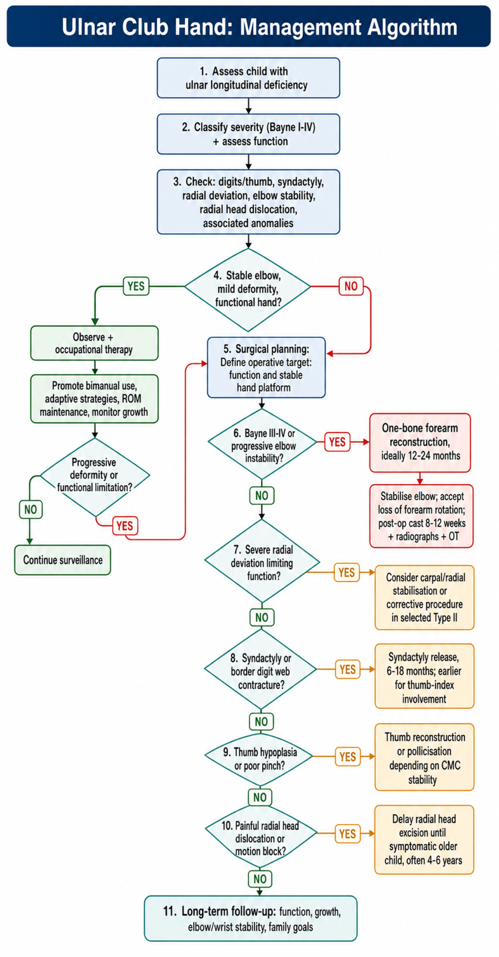 Management algorithm for ulnar club hand from assessment and Bayne classification through observation, one-bone forearm, syndactyly release, thumb reconstruction and radial head excision.