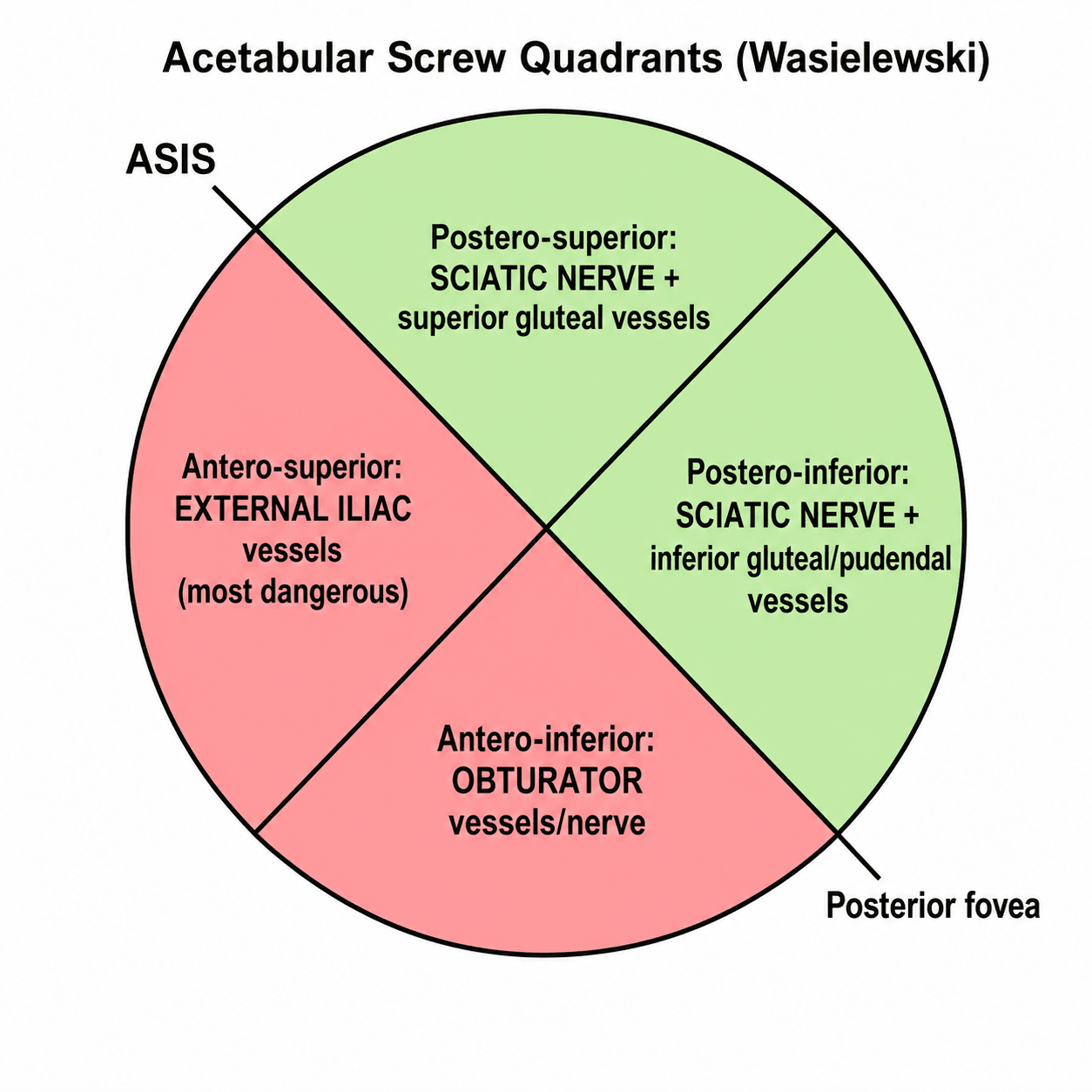 Diagram of the Wasielewski acetabular screw quadrants showing the anterior danger zones and posterior safe zones