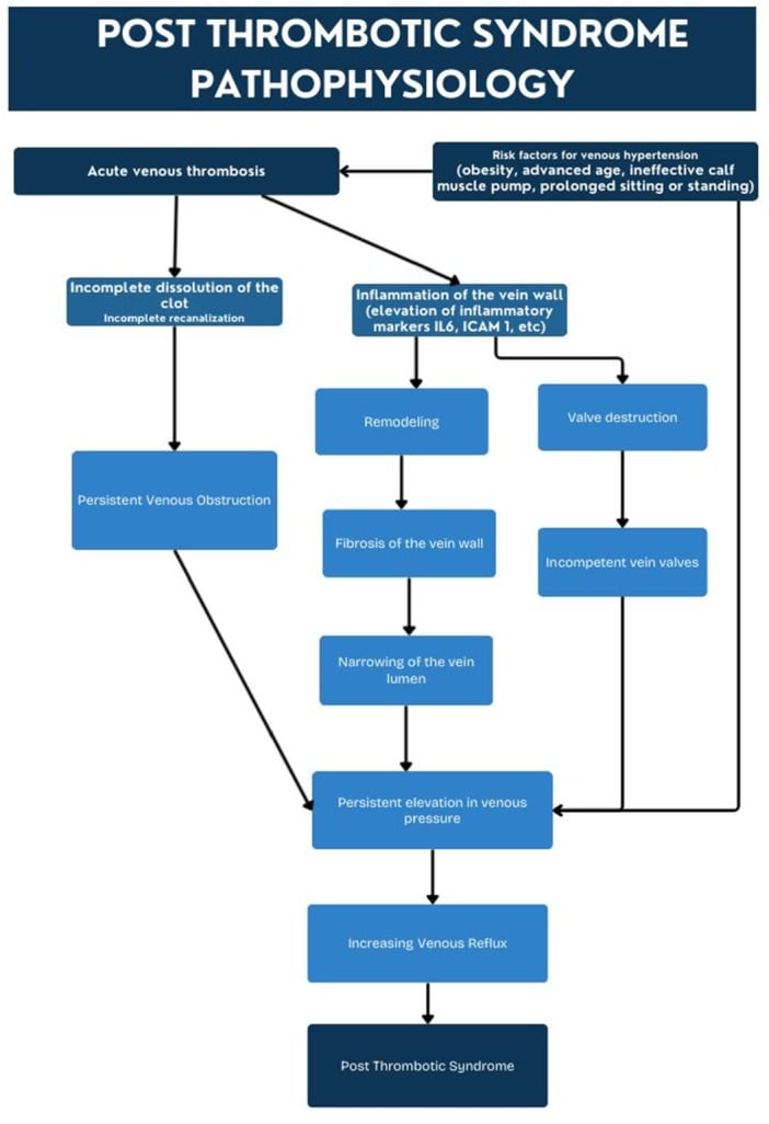 Flowchart of post-thrombotic syndrome pathophysiology