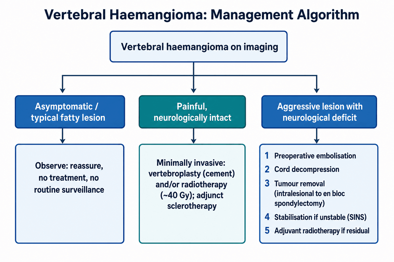 Management algorithm for vertebral haemangioma branching by clinical picture into observation, minimally invasive treatment, and surgery for aggressive lesions.