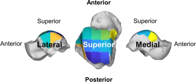 Three-dimensional tibiotalar surface divided into a nine-region grid with separate ankle gutters