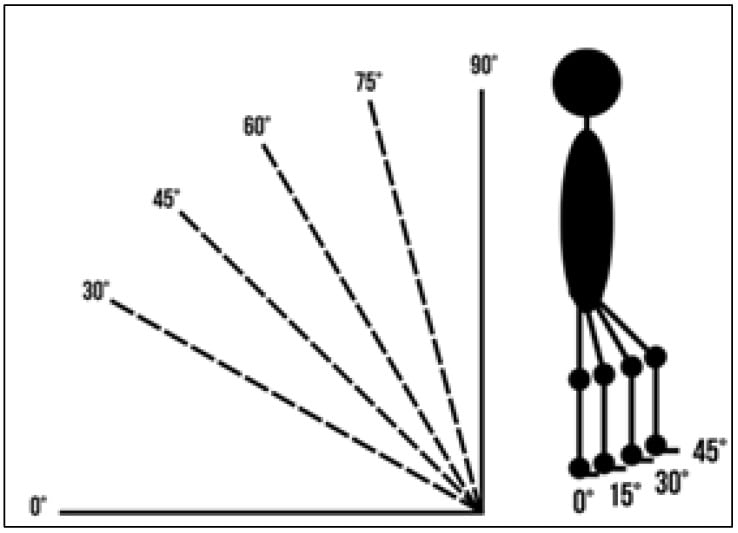 Schematic of verticalisation angles from 0 to 90 degrees and lower-limb flexion positions from 0 to 45 degrees