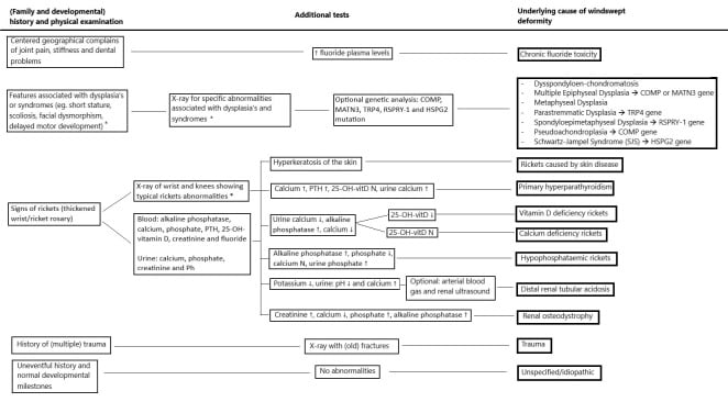 Diagnostic flowchart for finding the cause of windswept deformity in a child
